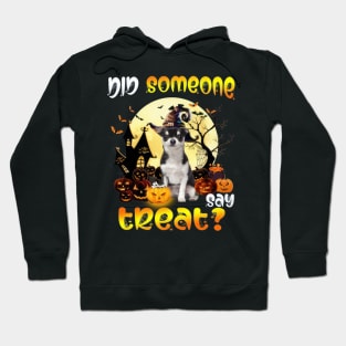 Black Chihuahua Did Someone Say Treat Happy Halloween Hoodie